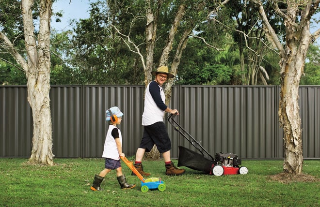 Fencing Fences Fence Good Neighbour Wavelok 01