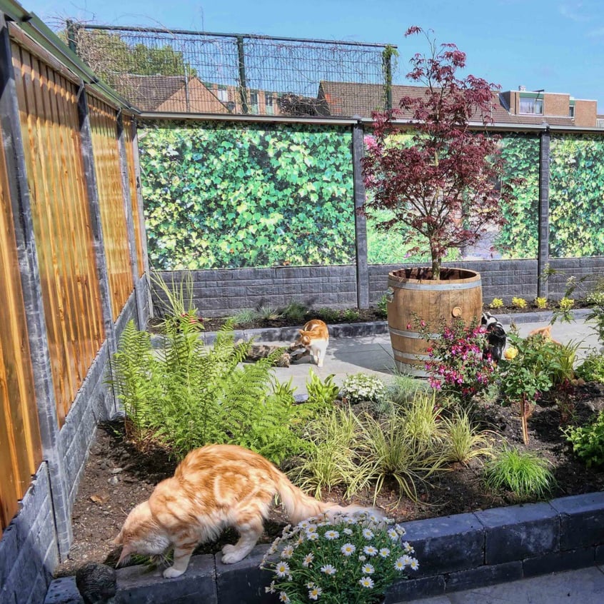 Oscillot Cat Containment System 09