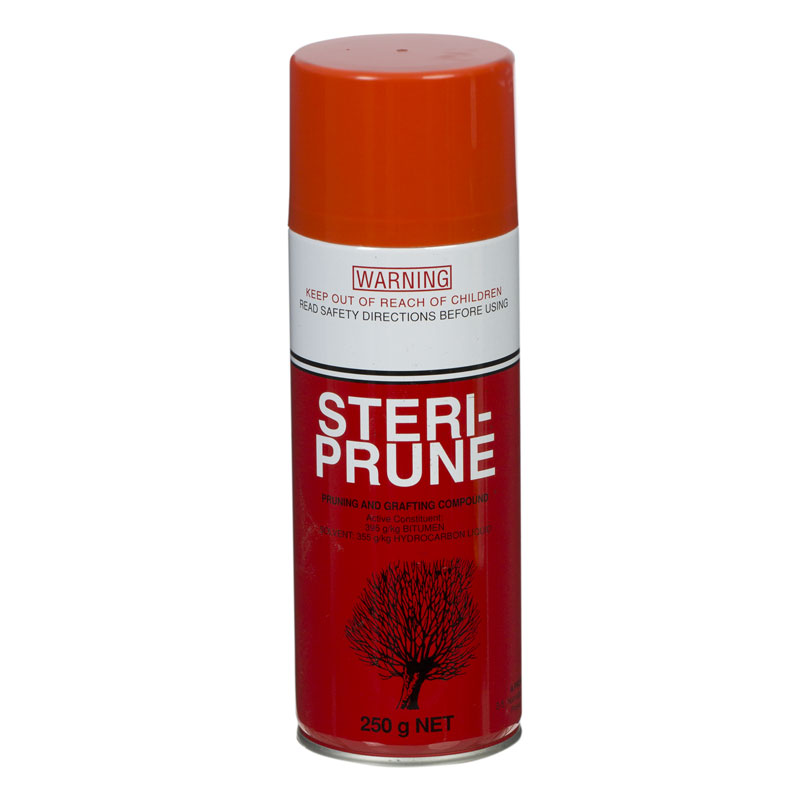Brunnings Steriprune Aerosol 250g